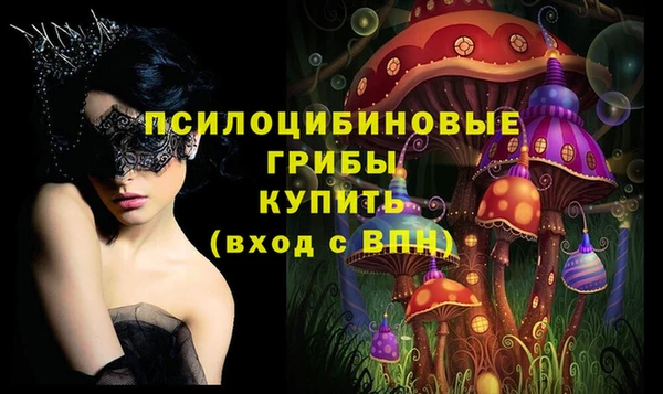 эйфоретик Беломорск