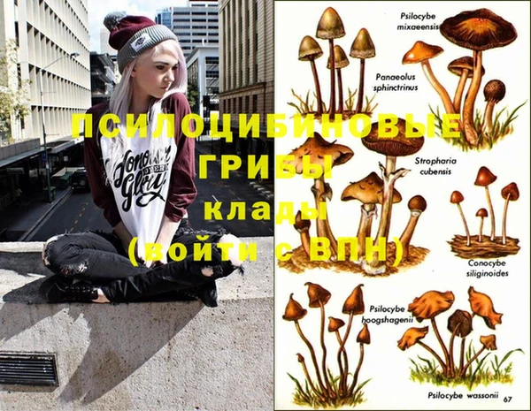 jwh Белокуриха